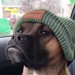 Meet your Posher, Lexi